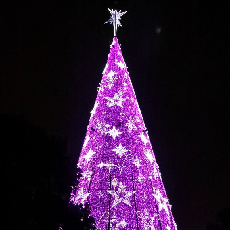 Árvores de Natal em SP: confira as principais atrações