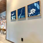 Imagem da experiência Canopy by Hilton SP Jardins recebe exposição “Azul Contraste”