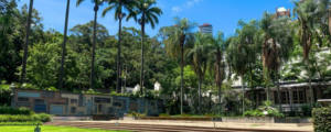 Bairro do Morumbi: história, o que fazer, onde comer e onde ficar